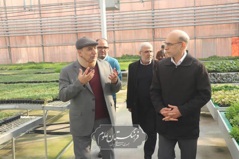 امنیت غذایی 5